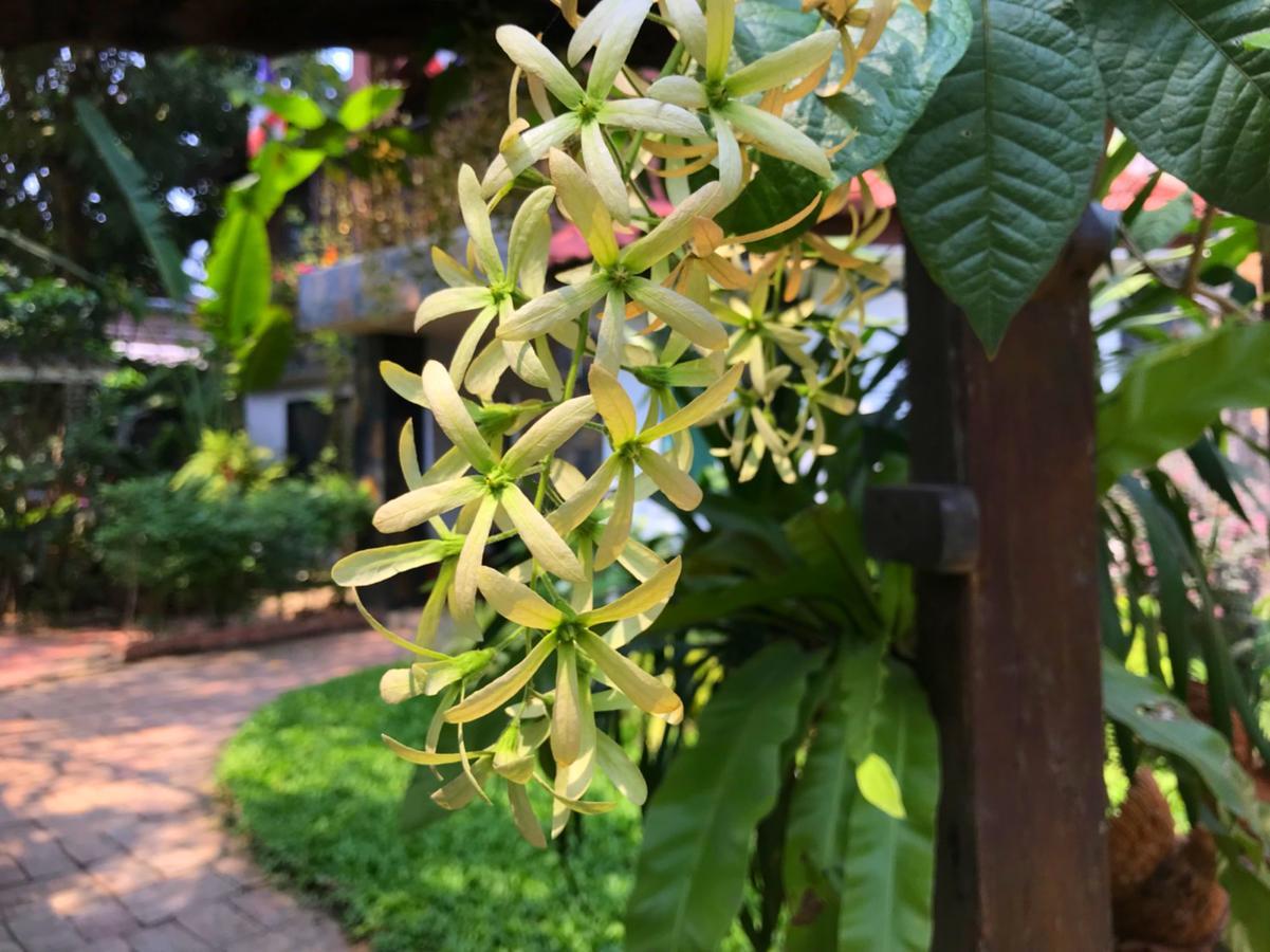 Moradok Thai Guesthouse Пра Након Си Аютая Екстериор снимка